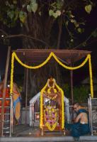 Kartik Deepotsava at Shri Uma Maheshwar Devasthan, Mangaluru (18 Nov 2024) Pictures Courtesy Shri Ganesh Rao